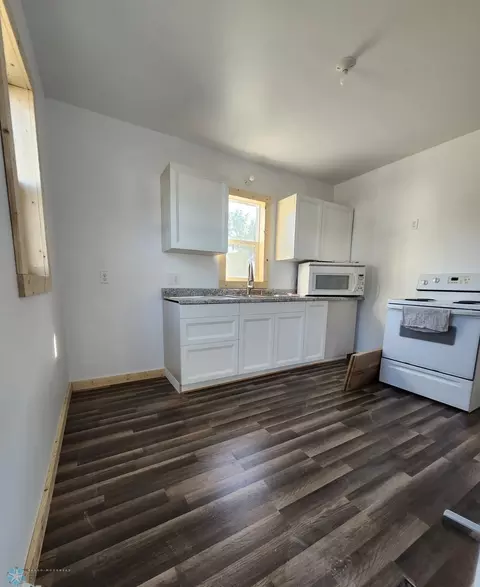 339 3rd St, Wyndmere, ND 58081 photo 4