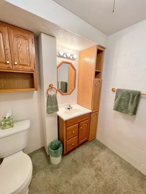 Bath - 401 White St N, Comfrey, MN 56019 photo 9 of 10