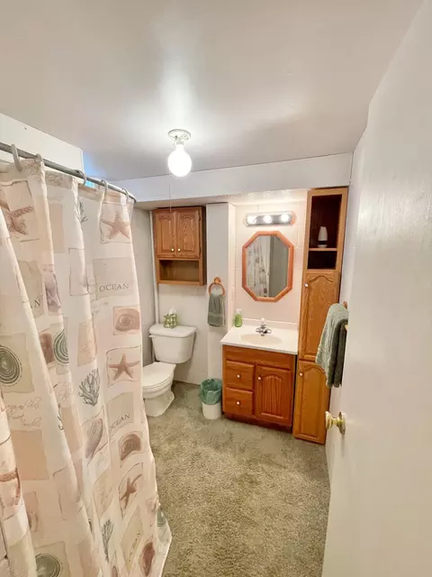 Bath - 401 White St N, Comfrey, MN 56019 photo 8 of 10
