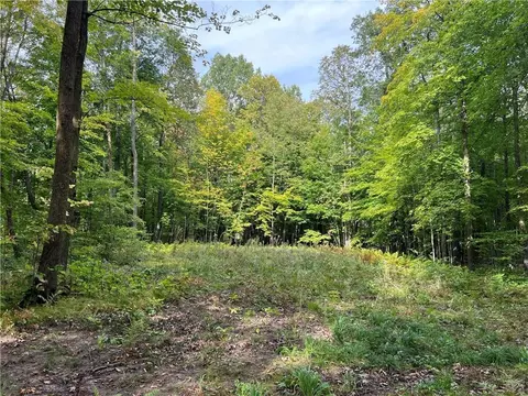 Nnn Stowe Road, Birchwood, WI 54817