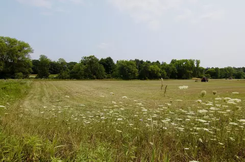 26 Nn Neal Ave, West Lakeland Twp, MN 55082