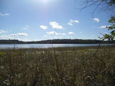 Nnn County 118 Road Nw, Backus, MN 56435