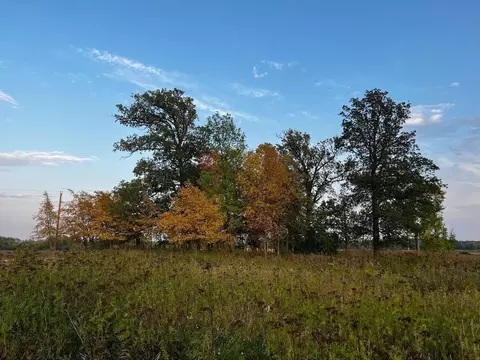 tbd 360th St SE, Woodside Twp, MN 56535