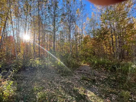 tbd 159, Northome, MN 56661