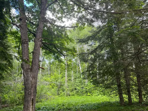 tbd Cr 159, Northome, MN 56661