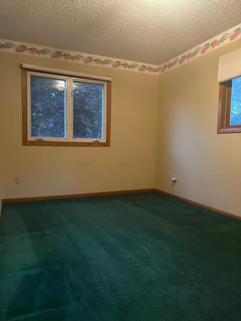 921 Ludwig Ave N, Champlin, MN 55316 photo 11