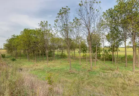 Other - 3265 130th St E, Dundas, MN 55019 photo 37 of 41