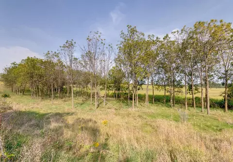 Other - 3265 130th St E, Dundas, MN 55019 photo 29 of 41