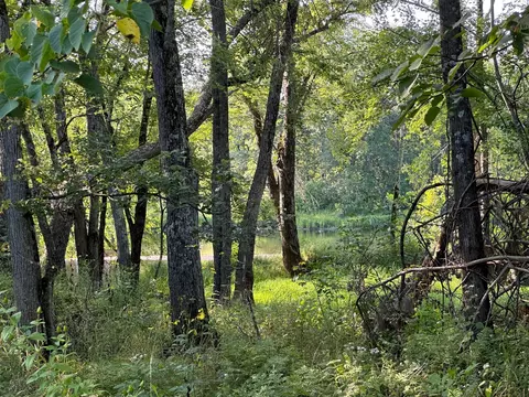 12609 W Mcdonald Rd, Bruce, WI 54819