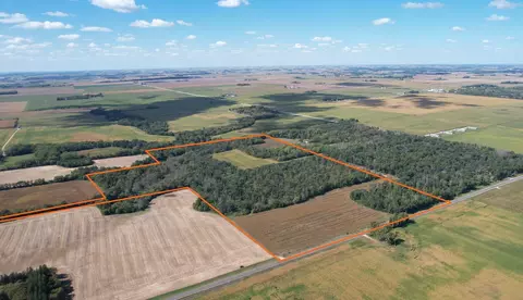5 County, York Twp, MN 55939