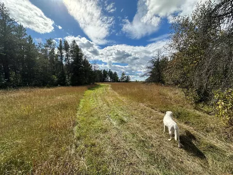 tbd 284th St, Sebeka, MN 56477 photo 39