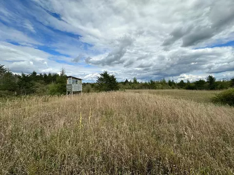 tbd 284th St, Sebeka, MN 56477 photo 50