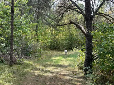tbd 284th St, Sebeka, MN 56477 photo 37