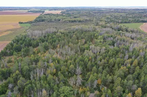 tbd 284th St, Sebeka, MN 56477 photo 14