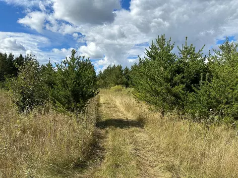 tbd 284th St, Sebeka, MN 56477 photo 27