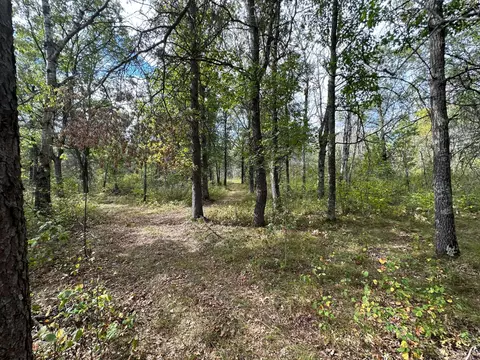tbd 284th St, Sebeka, MN 56477 photo 42
