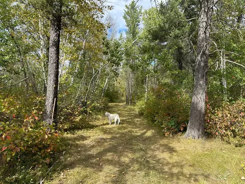 tbd 284th St, Sebeka, MN 56477 photo 41