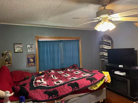 236 1st St, Randall, MN 56475 photo 20