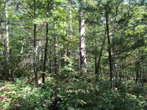 lot13 103rd St, Frederic, WI 54837 photo 19