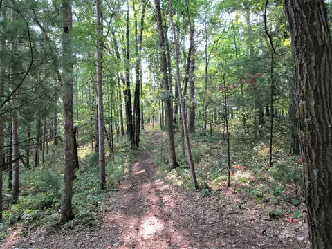 lot13 103rd St, Frederic, WI 54837 photo 15