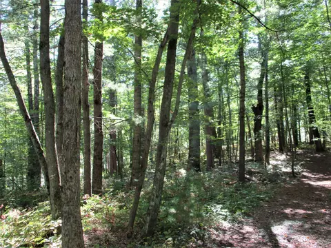lot13 103rd St, Frederic, WI 54837 photo 18