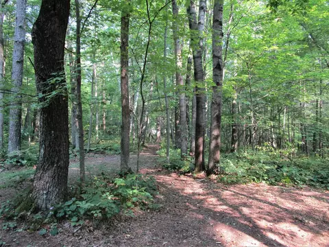 lot13 103rd St, Frederic, WI 54837 photo 16