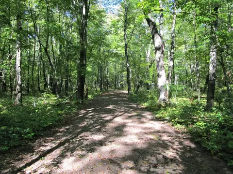 lot13 103rd St, Frederic, WI 54837 photo 17