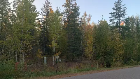 tbd Lot 11 12 10 Pine Tree Ln, Coleraine, MN 55722