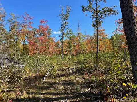 tbd Lamon Rd NE, Turtle River, MN 56601 photo 5