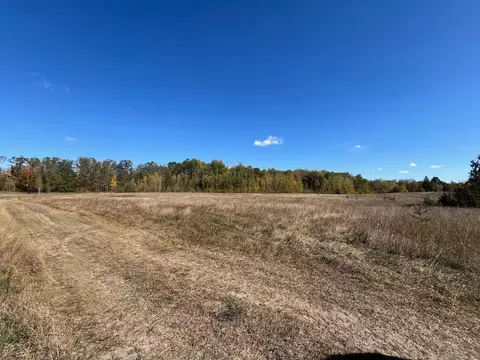 tbd Lamon Rd NE, Turtle River, MN 56601 photo 4