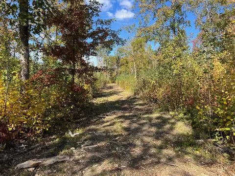 tbd Lamon Rd NE, Turtle River, MN 56601 photo 3