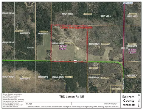 tbd Lamon Rd NE, Turtle River, MN 56601 photo 2