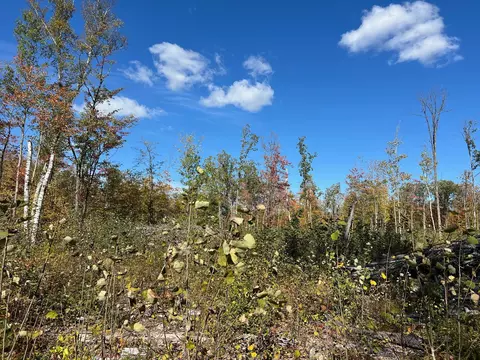 tbd Lamon Rd NE, Turtle River, MN 56601 photo 6