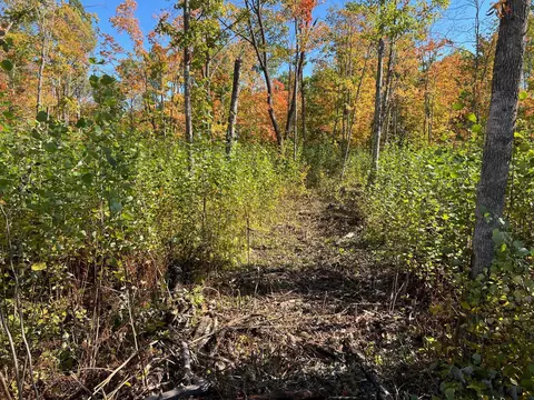 tbd Lamon Rd NE, Turtle River, MN 56601 photo 7