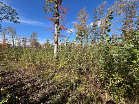 tbd Lamon Rd NE, Turtle River, MN 56601 photo 8
