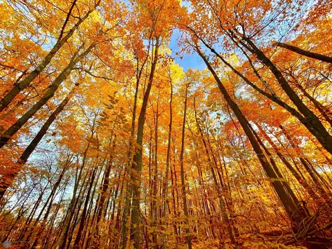 Nnn Oak Lane, Cuyuna, MN 56444