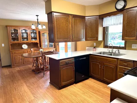 210 E Cabot St, Le Roy, MN 55951 photo 17