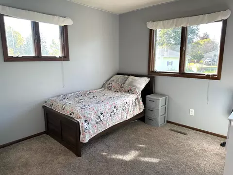 210 E Cabot St, Le Roy, MN 55951 photo 9