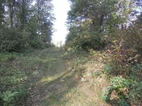 22990 Ricks Rd, Merrifield, MN 56465 photo 6