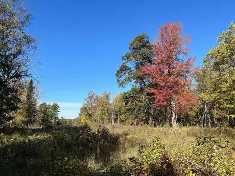 Nnnn 72nd Street Sw, Home Brook Twp, MN 56472