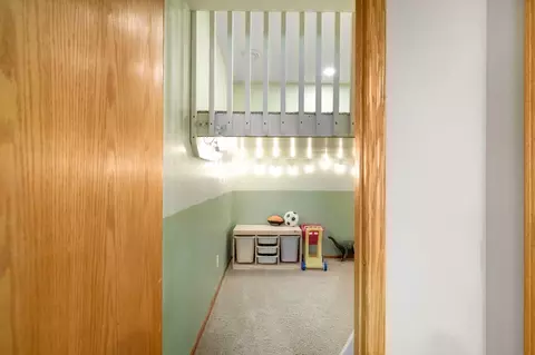 921 Firethorne Trl, Jordan, MN 55352 photo 33