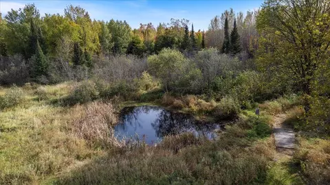 10163 E Gustafson Rd, Angora, MN 55703 photo 49