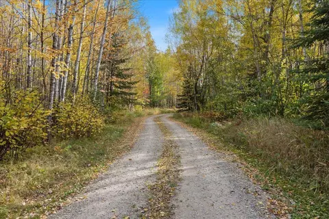 10163 E Gustafson Rd, Angora, MN 55703 photo 40