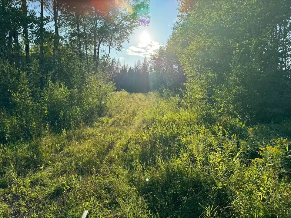  Nnn Alborn Brookston Road, Cloquet, MN 55720 photo 3