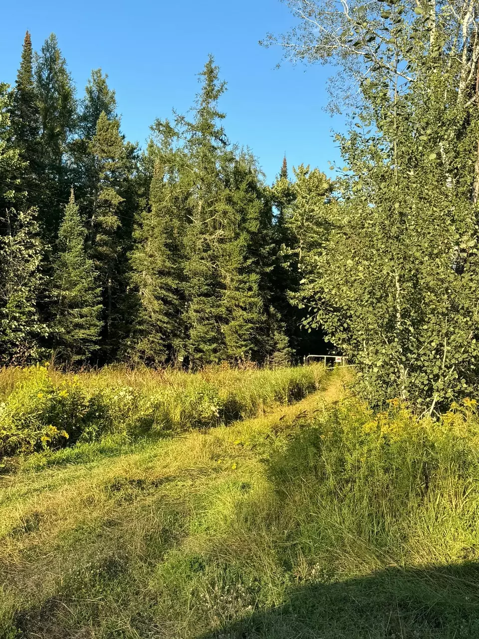  Nnn Alborn Brookston Road, Cloquet, MN 55720 photo 4