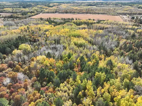 tbd 170th St, Akeley, MN 56433