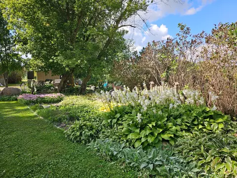 21725 County Road 8, Cold Spring, MN 56320 photo 66