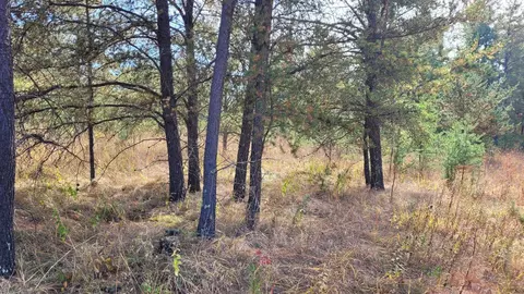 tbd 20th Ave NW, Backus, MN 56435 photo 3
