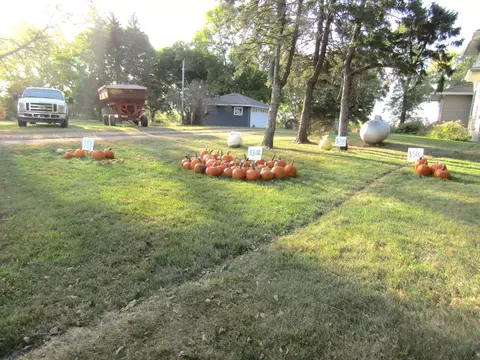 Other - 5775 150th Ave, Echo, MN 56237 photo 11 of 30