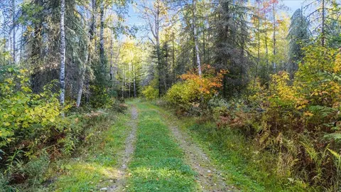 867 Big Timber Trl, Fall Lake Twp, MN 55731 photo 4